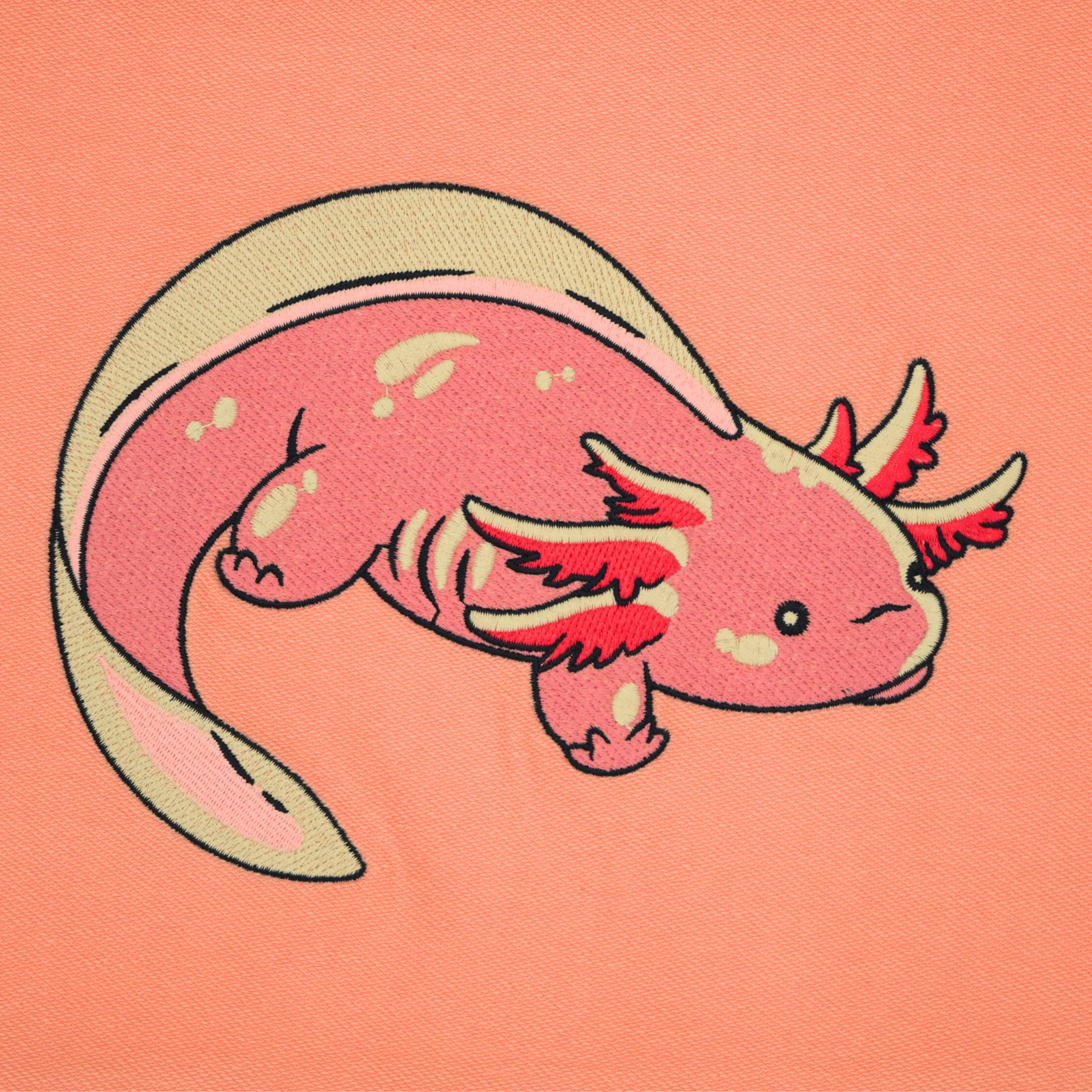 Axolotl Rugby - Image 9