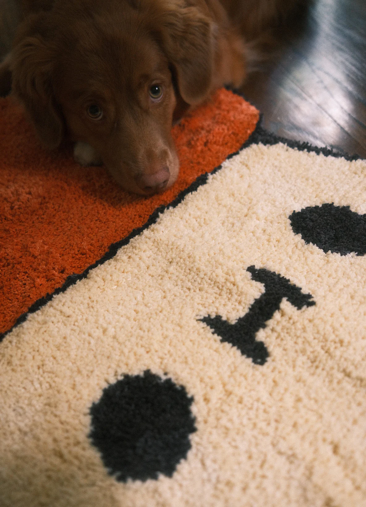 Penny Bun Rug - Image 5