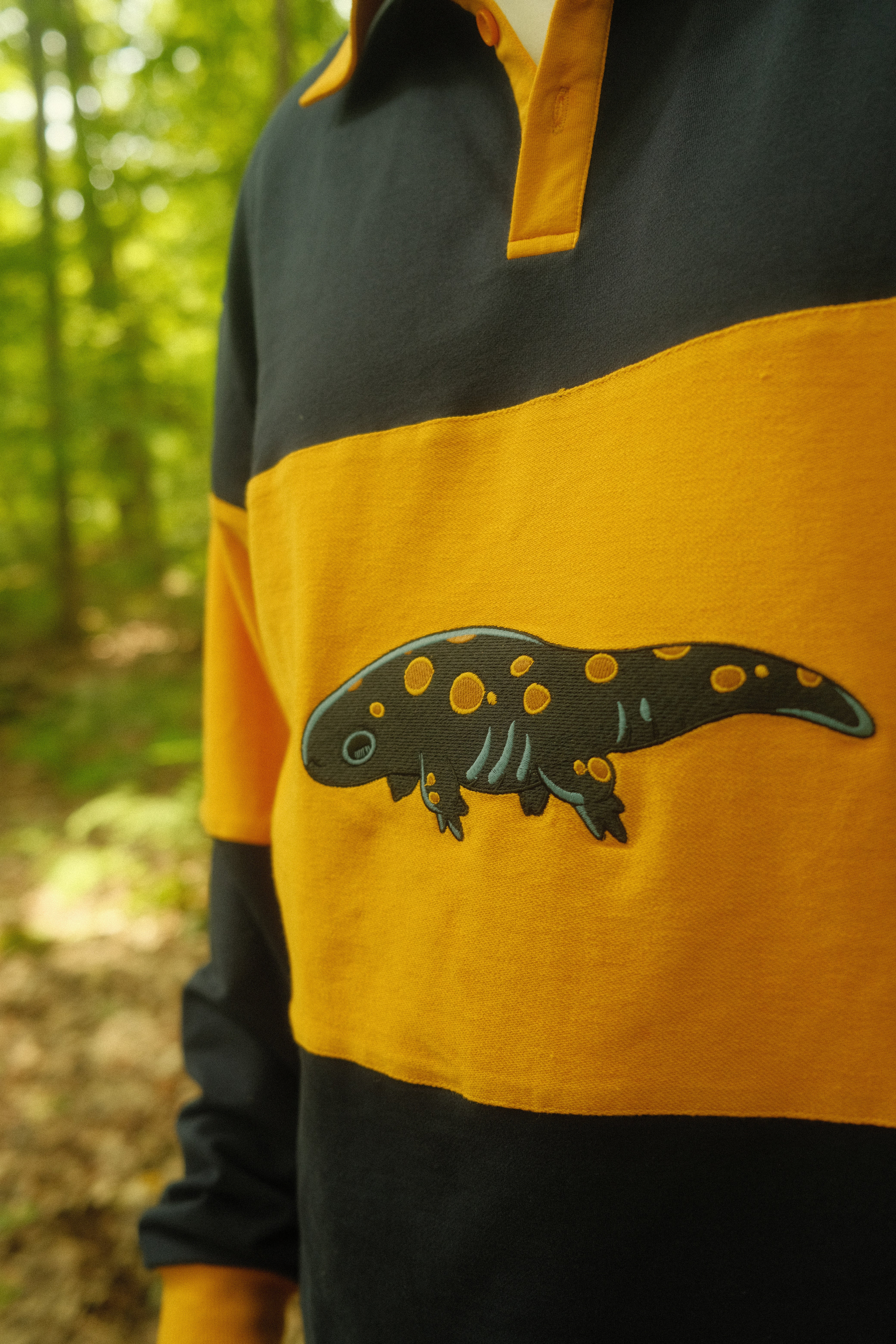 Salamander Rugby - Image 5