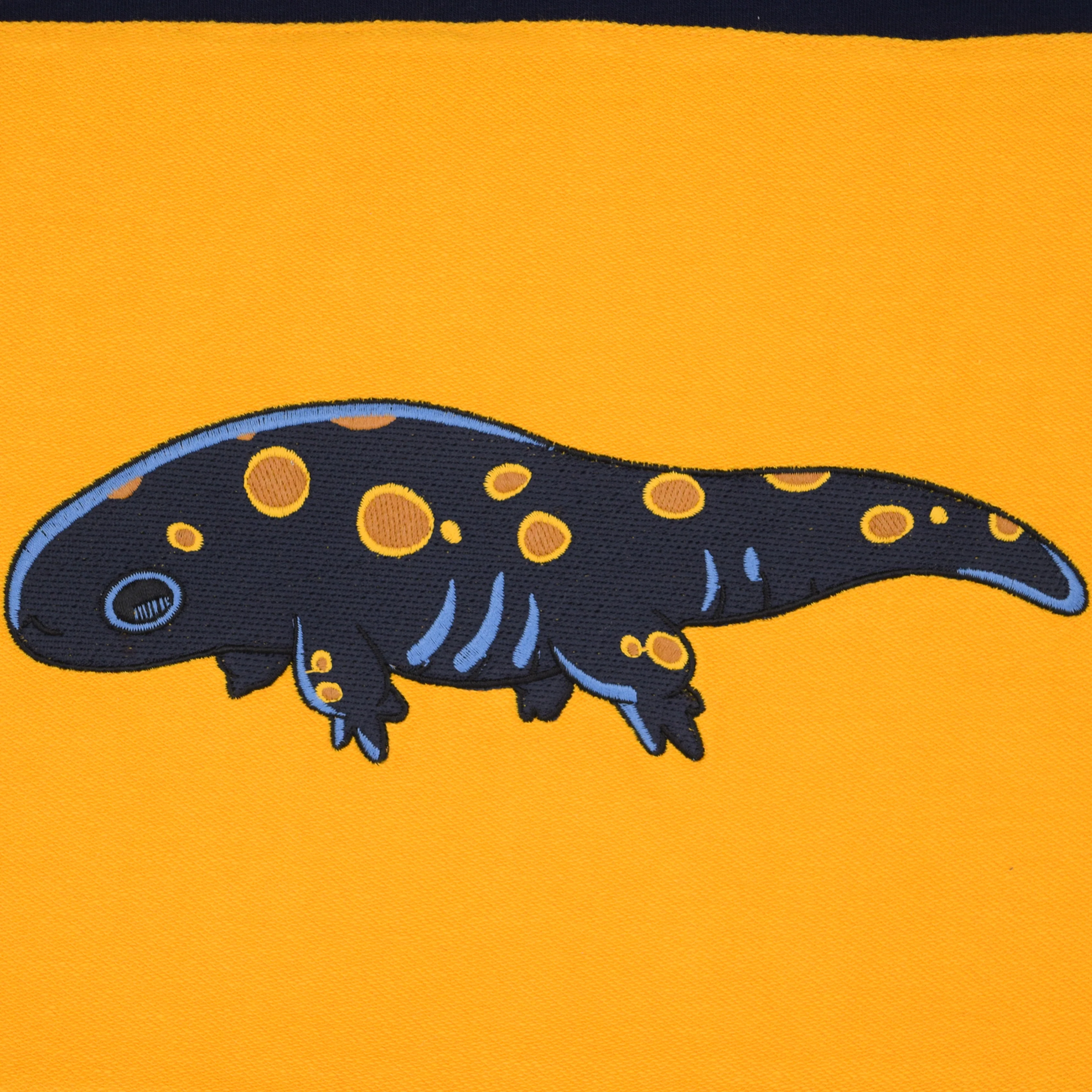 Salamander Rugby - Image 9