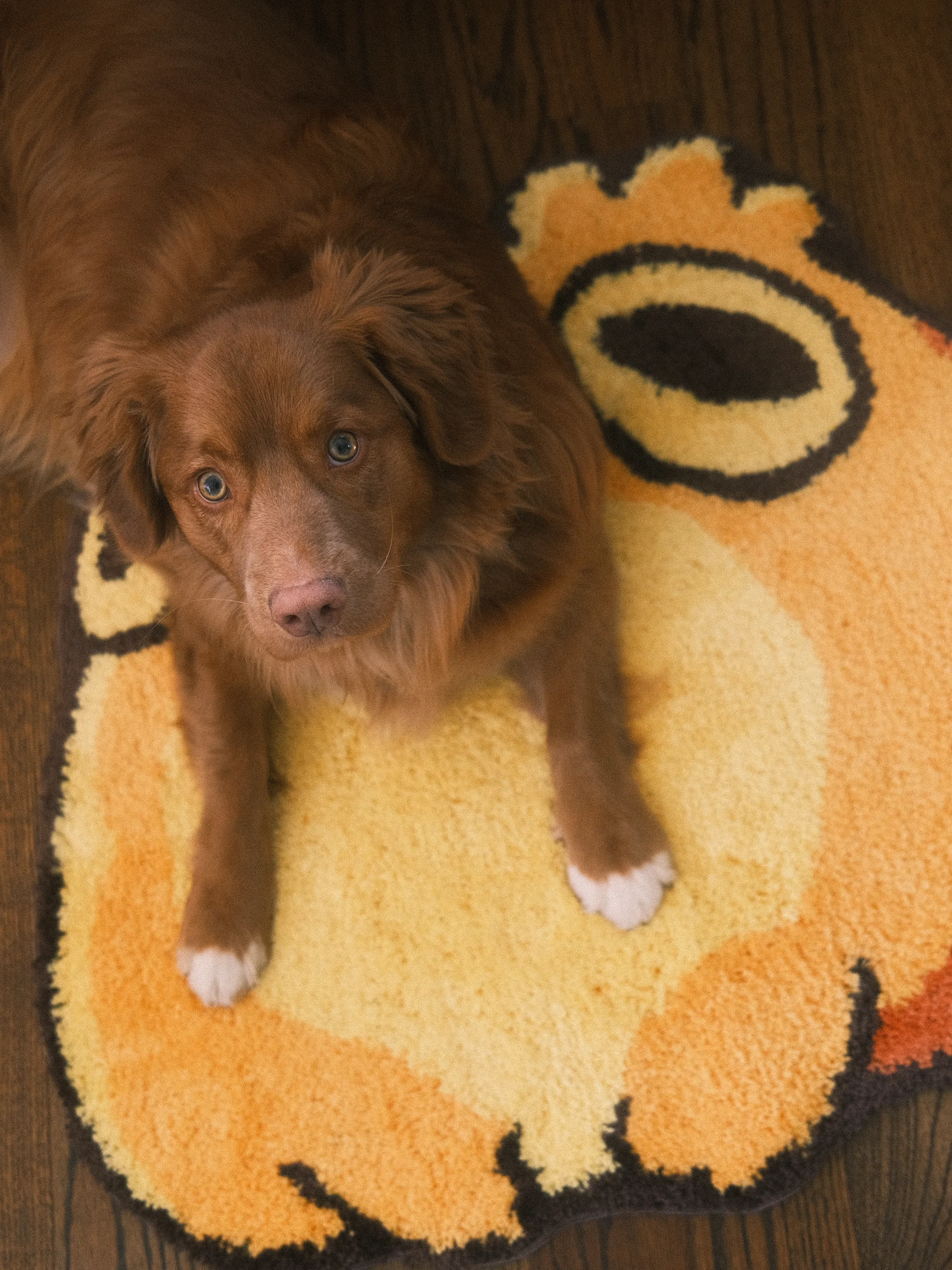 Toad Rug - Image 4