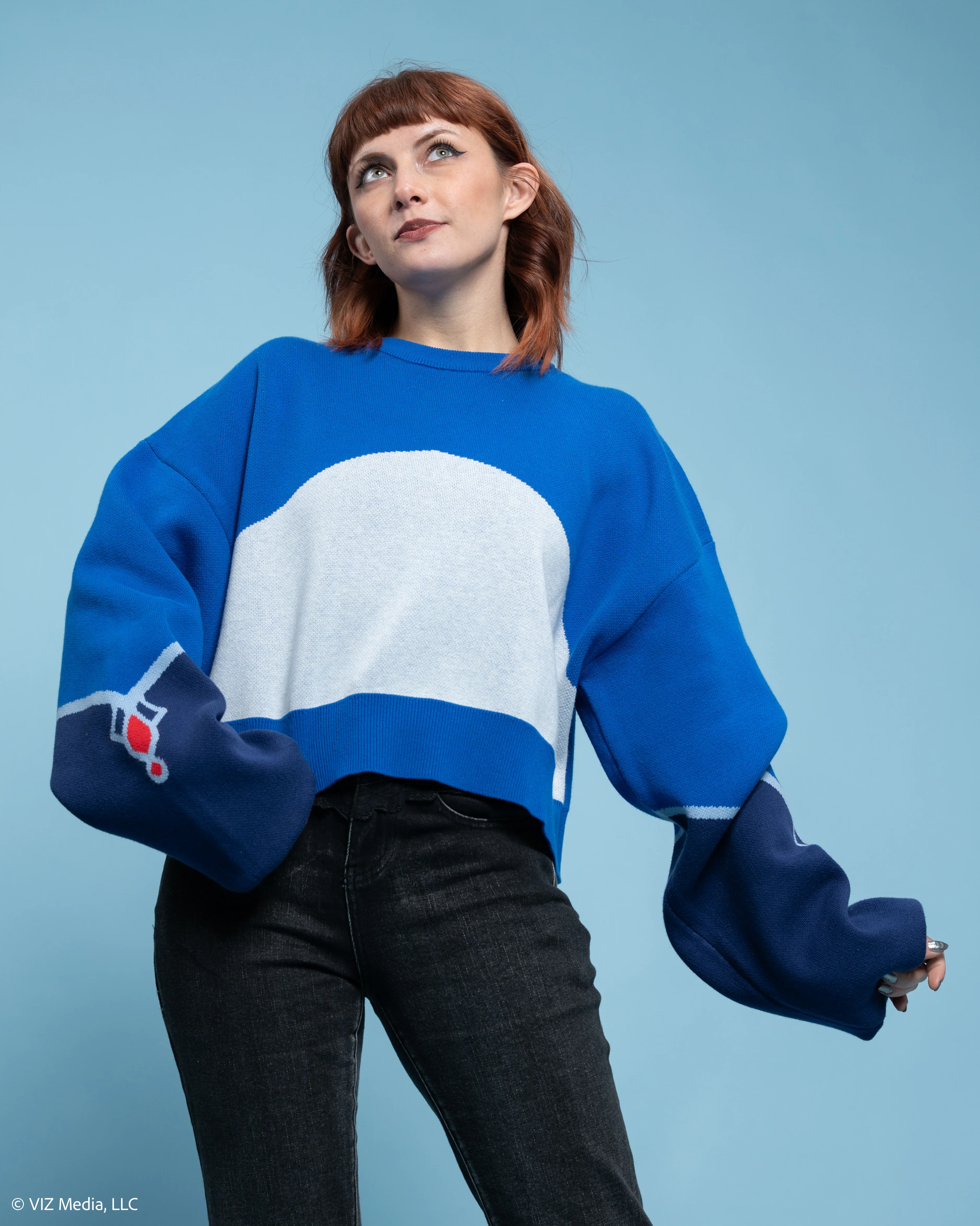 Weiss Cropped Sweater - Image 14