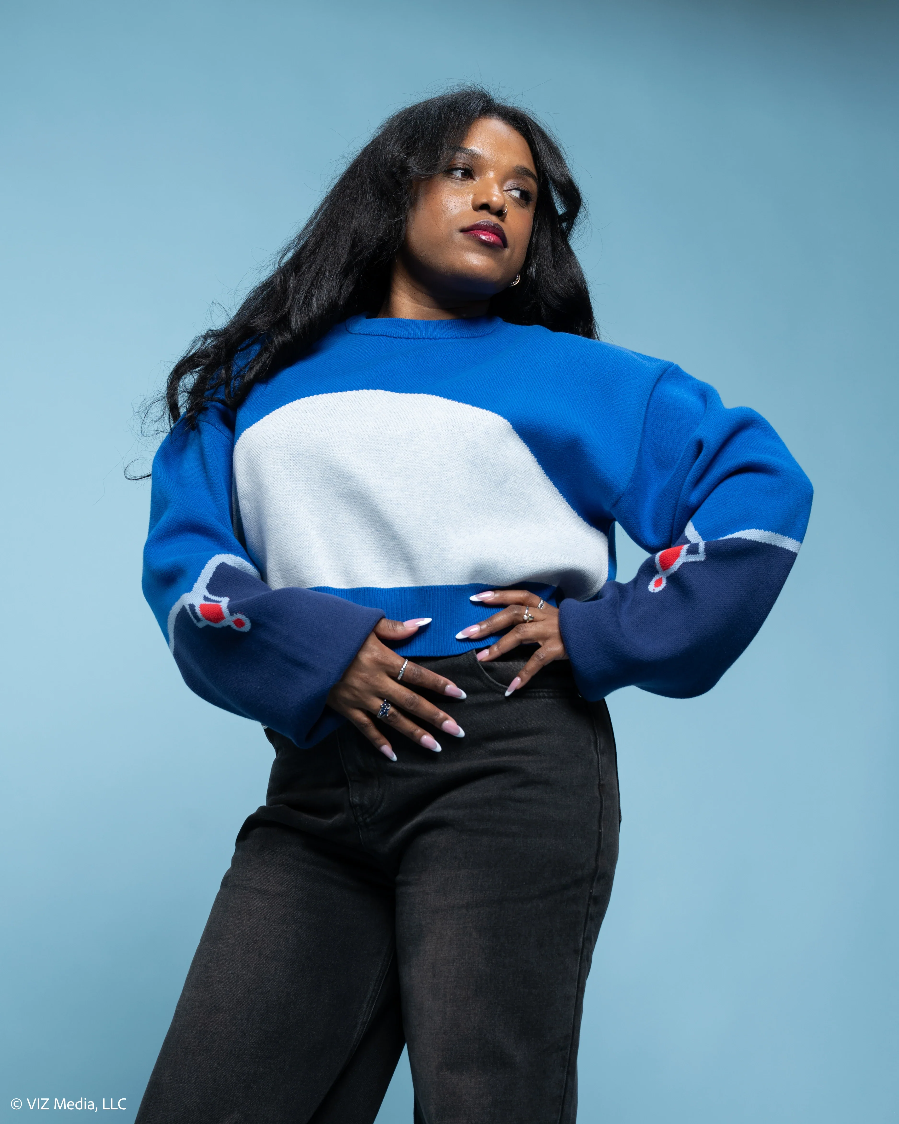 Weiss Cropped Sweater - Image 18
